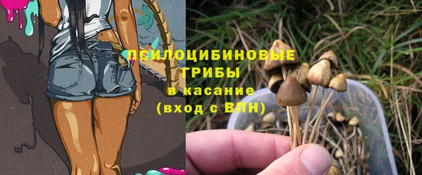 молекула духа Балабаново
