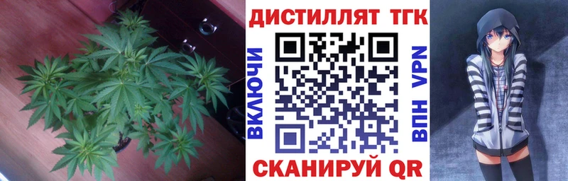 MEGA онион  Семёнов  Дистиллят ТГК Wax  продажа наркотиков 