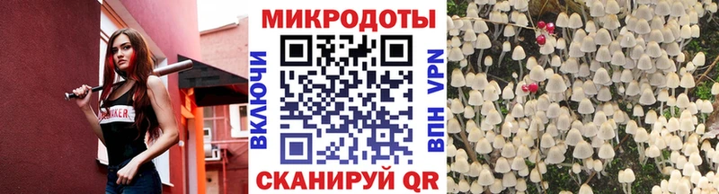МЕГА как зайти  Семёнов  Псилоцибиновые грибы Cubensis 